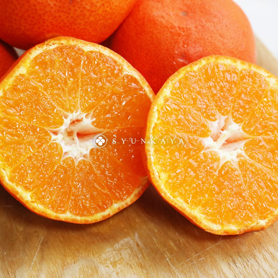 日本香川小原紅蜜柑