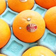 MADONNA 红まどんな citrus fruit gift box New Year’s gift box orange tangerine tangerine 