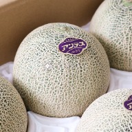 熊本安地斯哈密瓜、日本哈密瓜、Melon、哈密瓜宅配、進口水果、旬果屋、熊本水果直送