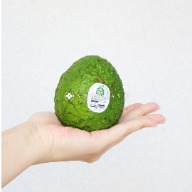 紐西蘭 酪梨 Avocado New Zealand