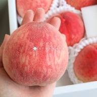 Yamanashi Greenhouse Peach Japanese Peach Peach Yamanashi Peach