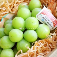 Nagano musk grapes green grapes white grapes