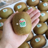 紐西蘭奇異果 Zespri