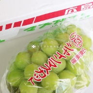 Muscadine grapes produced in Japan 