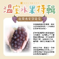 日本溫室水果特輯 溫室水果地圖 山梨御葡萄