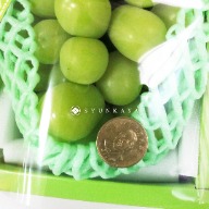 山梨匠葡萄單房禮盒(700g)