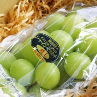 Muscadine grape Japanese gift box fruit gift box gift giving souvenir for visiting patients