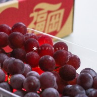 Delaware grapes, Japanese pearl grapes, Fukuoka fruit, premium Japanese fruit, summer fruit Japan, grape recommendation, seedless grapes