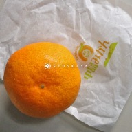 愛媛中島みかん。薄皮で甘くジューシー、春夏限定の高級フルーツギフト。