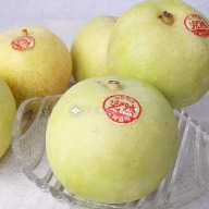 Japan Tottori Nijisseiki Pear