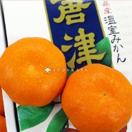 Saga Prefecture Satsuma Mandarin Japanese Mandarin Citrus unshiu satsuma