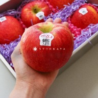 New Zealand Aifei Apple Aifei Apple Apple Gift Box New Zealand Apple Xun Guowu