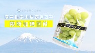 日本のマスカット 山梨のマスカット 食べ放題 山梨のマスカット