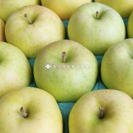 toki 蘋果 apple 土岐蘋果 水蜜桃蘋果 日本蘋果 食品 農產品 水果 伴手禮