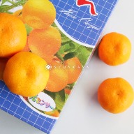 Japanese Saga Mandarin Japanese Mandarin Mandarin gift box gift autumn and winter fruit ORANGE GIFT