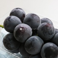 Pione grapes, seedless grapes Japan, Fukuoka fruit, Japanese summer fruit, luxury fruit, black pearl grapes, Japanese grapes