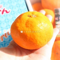 Wakayama mikan, Japanese citrus, imported mikan, winter fruit box, Japanese fruit gift, citrus fruit from Japan, sweet and tangy fruit, seasonal fruit