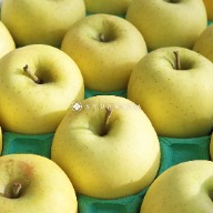 Shinano Gold apple, Japanese apples, Aomori fruits, premium apples, yellow-skinned apples, apple gift box, fruit gift Japan