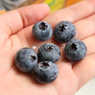 秘魯藍莓 藍莓 超級食物