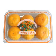 Japanese mandarin oranges, mandarin oranges, citrus fruits