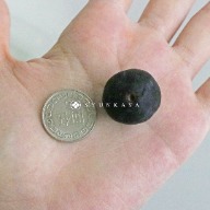 德島藍莓 日本藍莓  德島藍莓  Tokushima Blueberry  日本進口藍莓  無農藥藍莓  日本水果推薦  新鮮藍莓直送  日本果園藍莓  高品質藍莓  藍莓進口推薦  夏季限定藍莓  日本產藍莓  手採藍莓  高甜度藍莓  德島水果  健康藍莓  藍莓抗氧化  藍莓禮盒  藍莓甜點材料  日本藍莓哪裡買