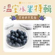 日本溫室水果特輯 溫室水果地圖  愛媛藍莓