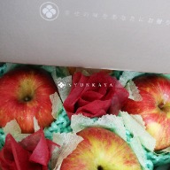 Apple fruit gift box, corporate gift for visiting patients, Mid-Autumn Festival gift box apple Chile 