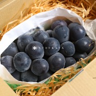 Okayama Bione Kyoho Cat&#39;s Eye Grape