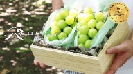 契作農園 Grape contract farming Japan 麝香葡萄 中秋禮盒 甲斐珍珠 麝香葡萄 日本頂級水果 水果禮盒 企業送禮推薦 甲斐珍珠麝香葡萄, 日本麝香葡萄禮盒, 中秋水果禮盒, 山梨麝香葡萄, 空運水果, 進口水果禮盒, 日本高級水果, 無籽麝香葡萄, 高級水果禮盒推薦, 台灣送禮推薦, 中秋送禮水果, 桐木禮盒, 頂級麝香葡萄, 岡山晴王麝香葡萄, 長野麝香葡萄