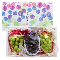 Gift boxes, fruit gift boxes, Mid-Autumn Festival gift boxes, souvenir gifts, holiday gifts, corporate gifts