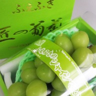 Yamanashi Takumi Grape