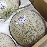 阿露絲哈密瓜 高級哈密瓜 日本哈密瓜 甜美哈密瓜 日本進口哈密瓜 哈密瓜禮盒 日本哈密瓜禮品