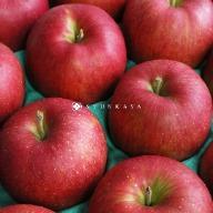 青森 蘋果 apple 家庭號 