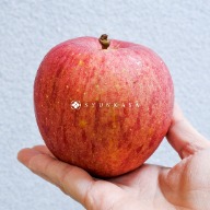 日本陽光富士蘋果