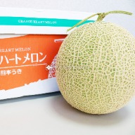 哈密瓜 紅肉哈密瓜 cantaloupe rockmelon