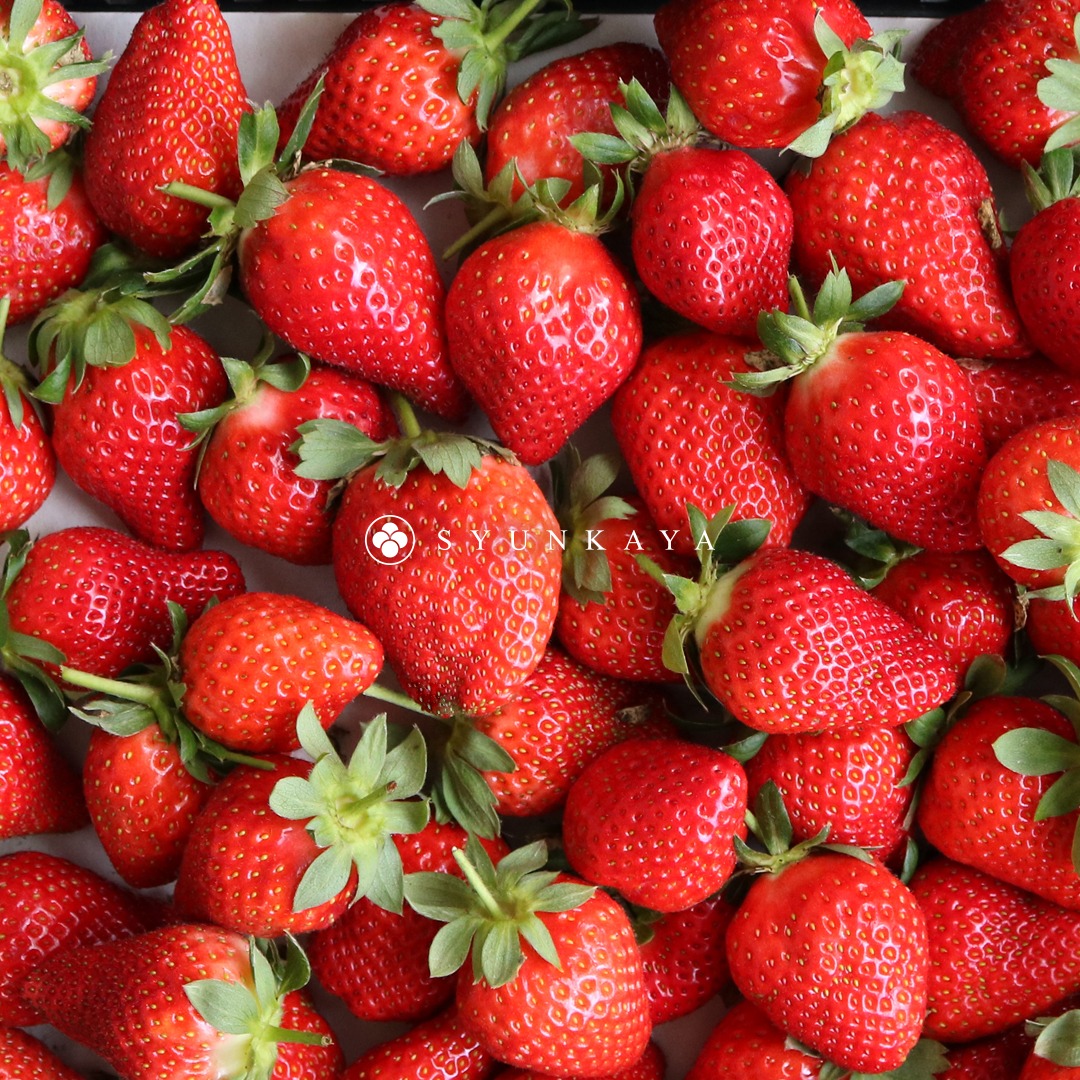 苗栗大湖いちご