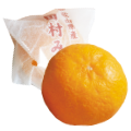 Tamura mandarin orange