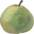 Yamagata pear