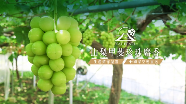 product info