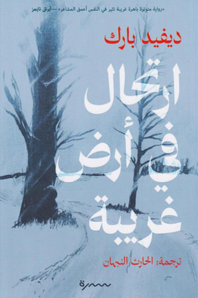Cover of Travelling in a Strange Land