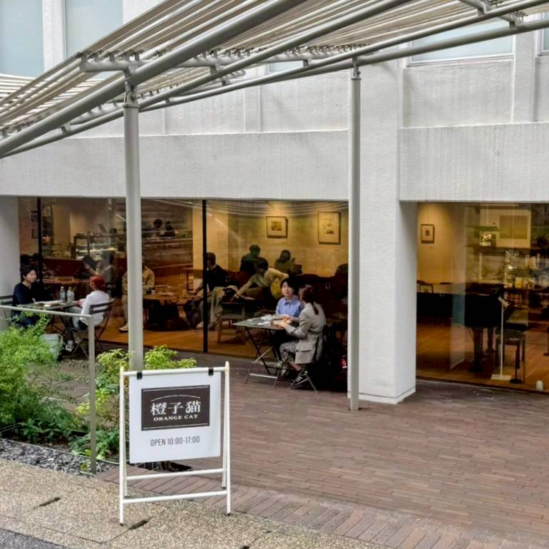 橙子猫-Orange Cat-