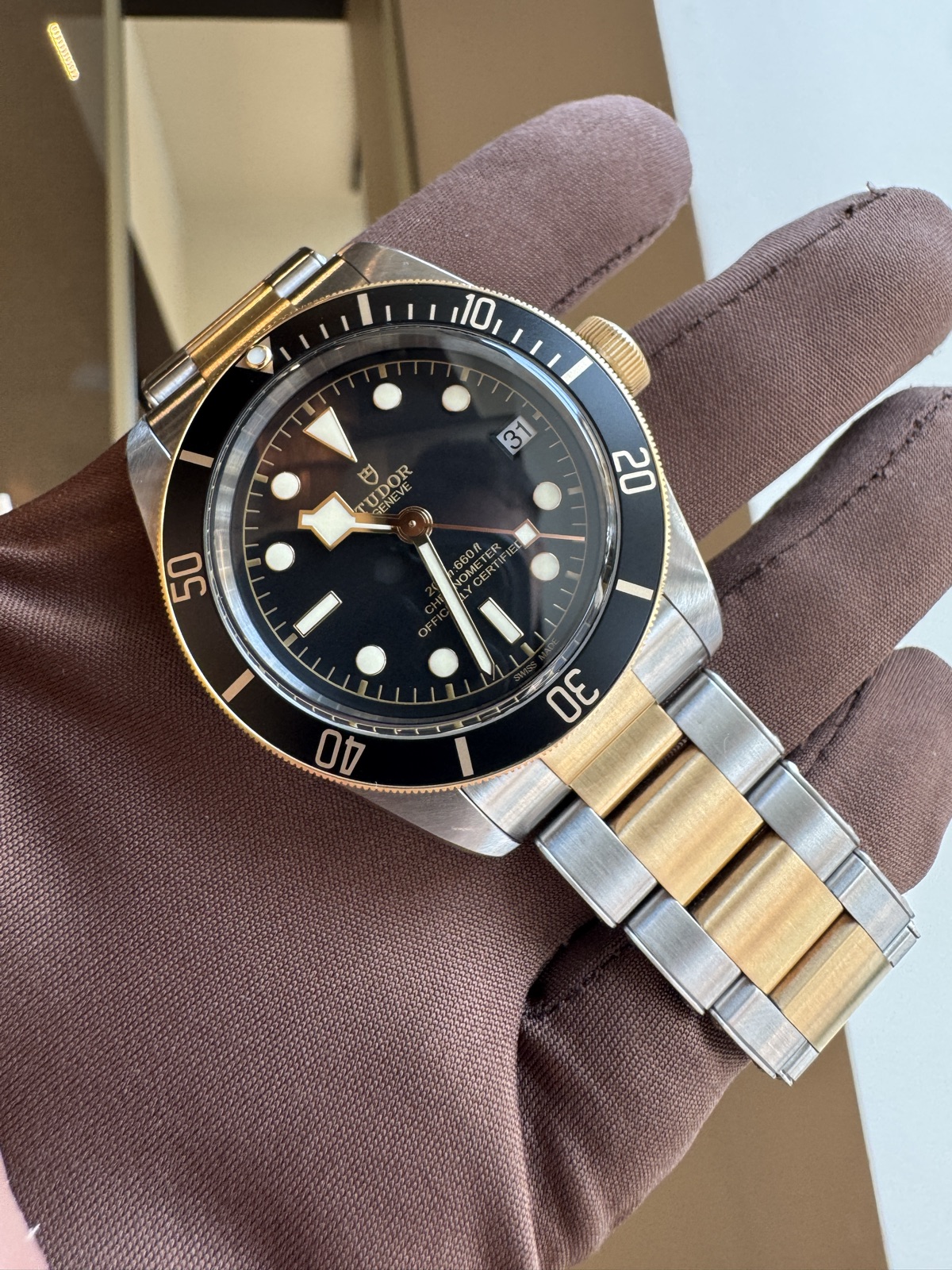 Tudor Black Bay
