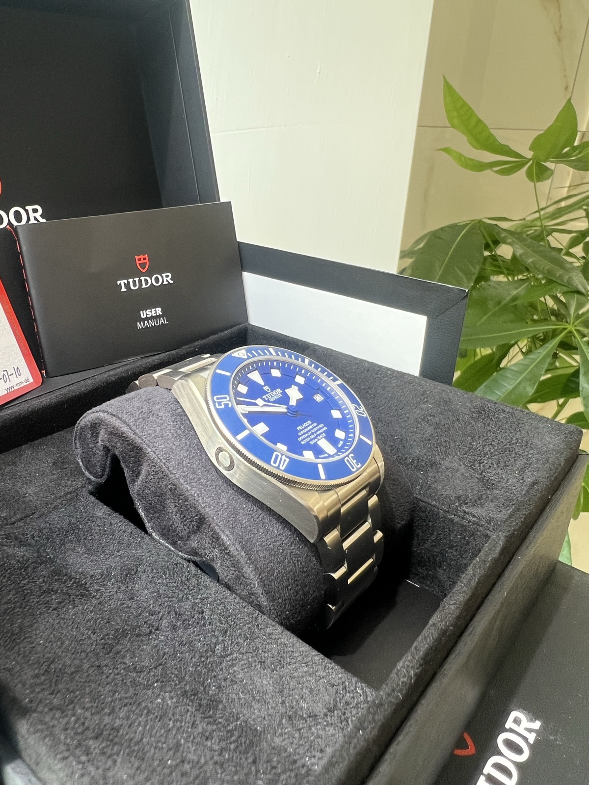 Tudor Bu1f/2026 Pelagos