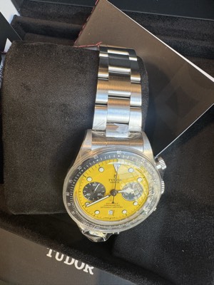 CV 103C/2026 Tudor Giallo
