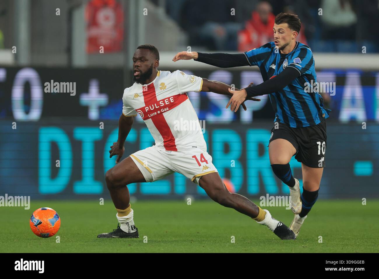 Atalanta vs Genoa Preview: Scamacca’s surge meets Genoa’s stubborn fight in Bergamo