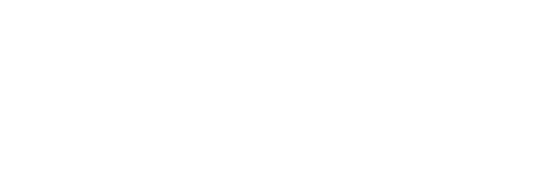 Wave Logo