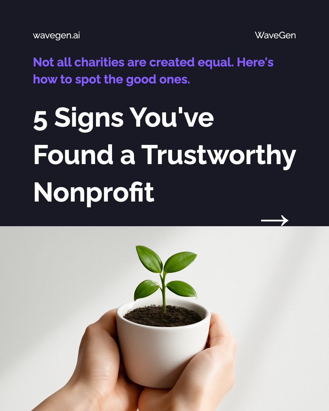 Trustworthy Nonprofit Guide template preview