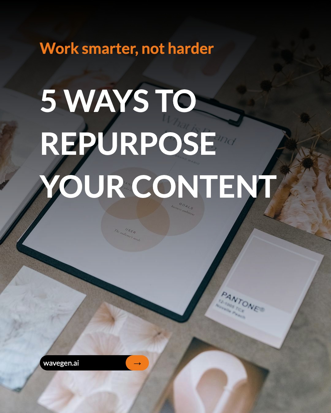 Dynamic Corp template preview