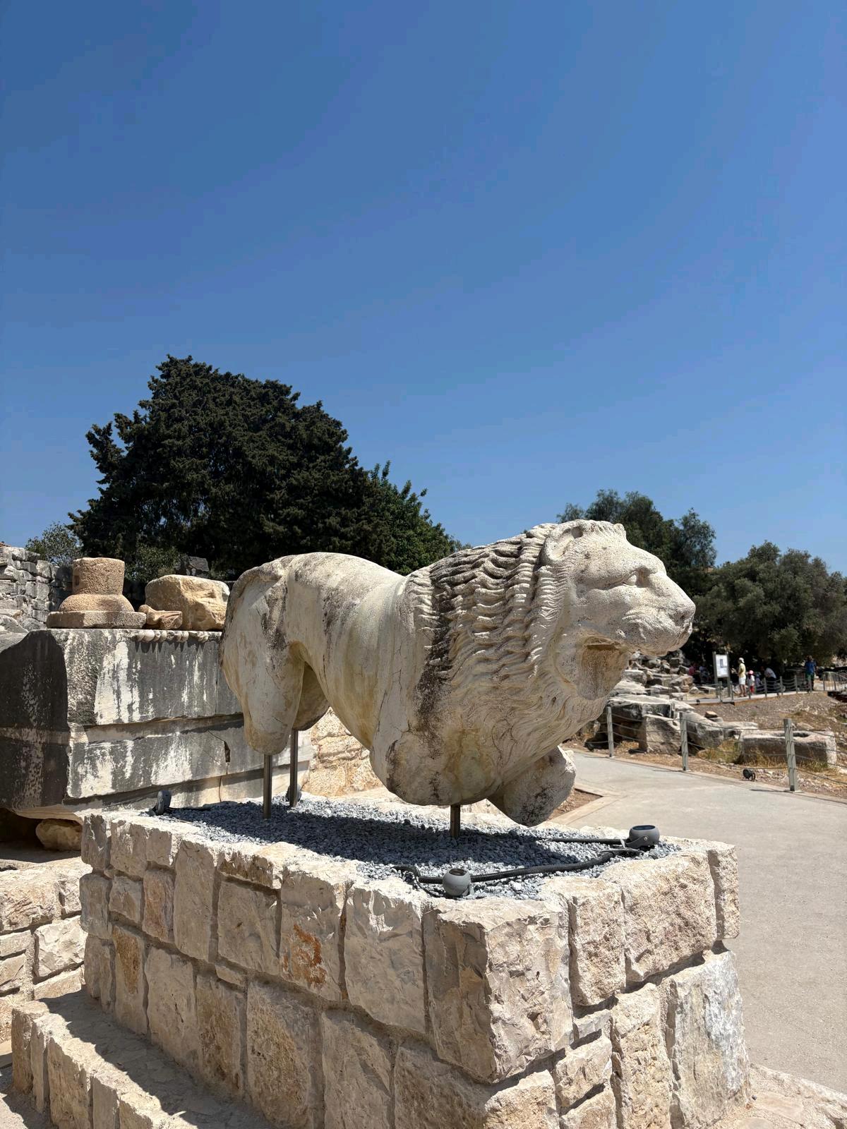 Apollon Tapınağı 6