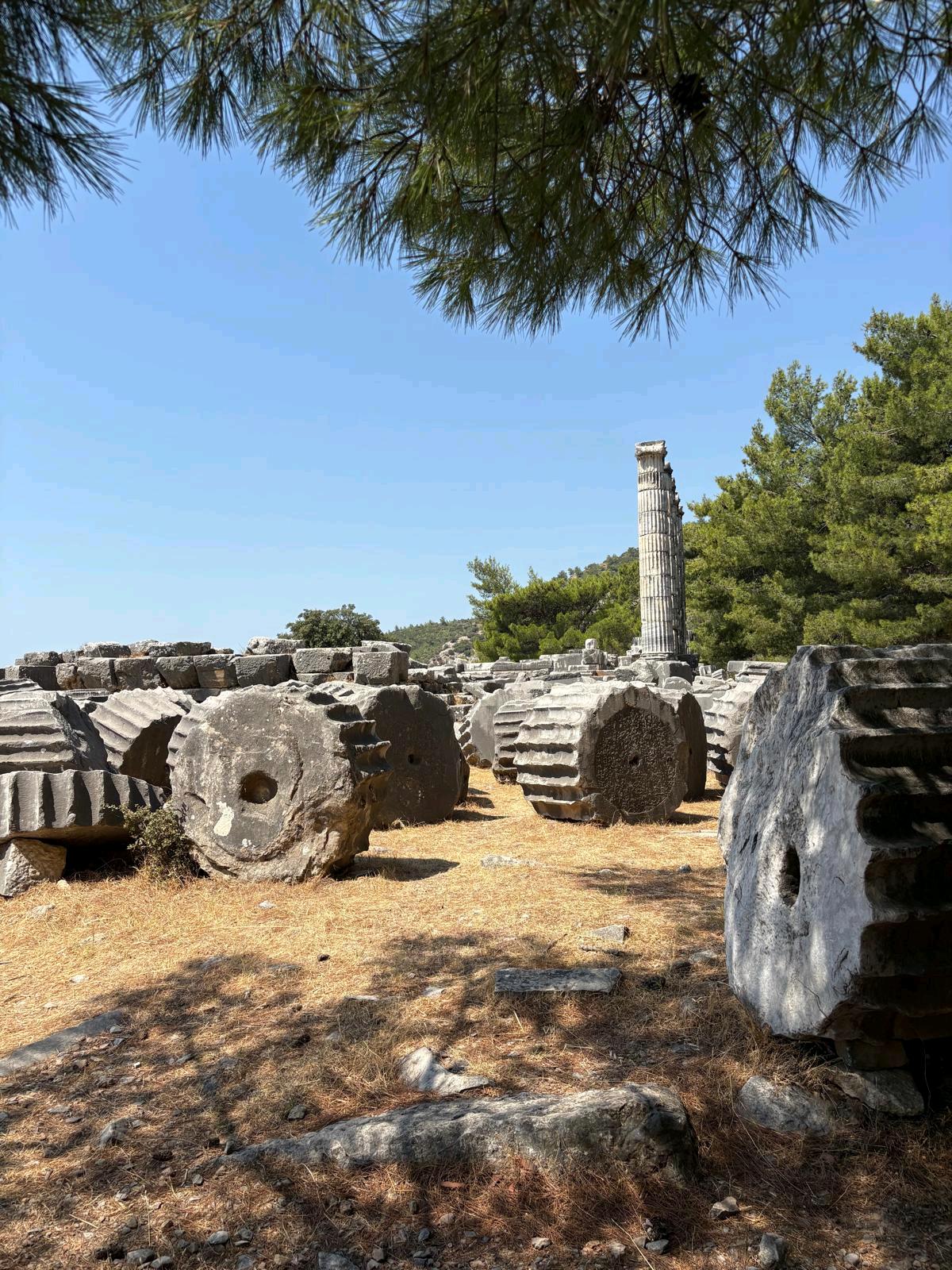 Priene Antik Kenti 7